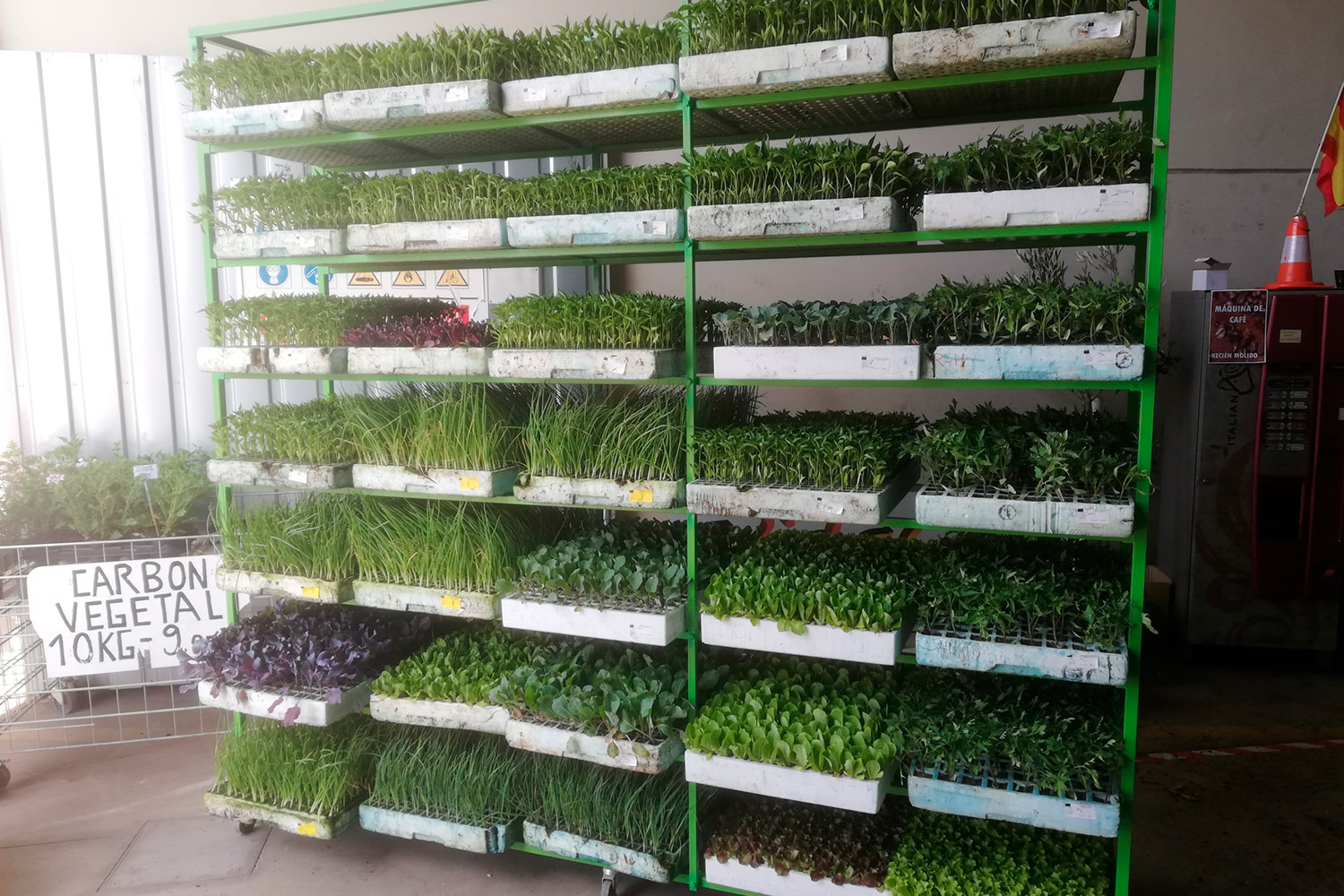 piensos-plantas-semillas-instalaciones-7