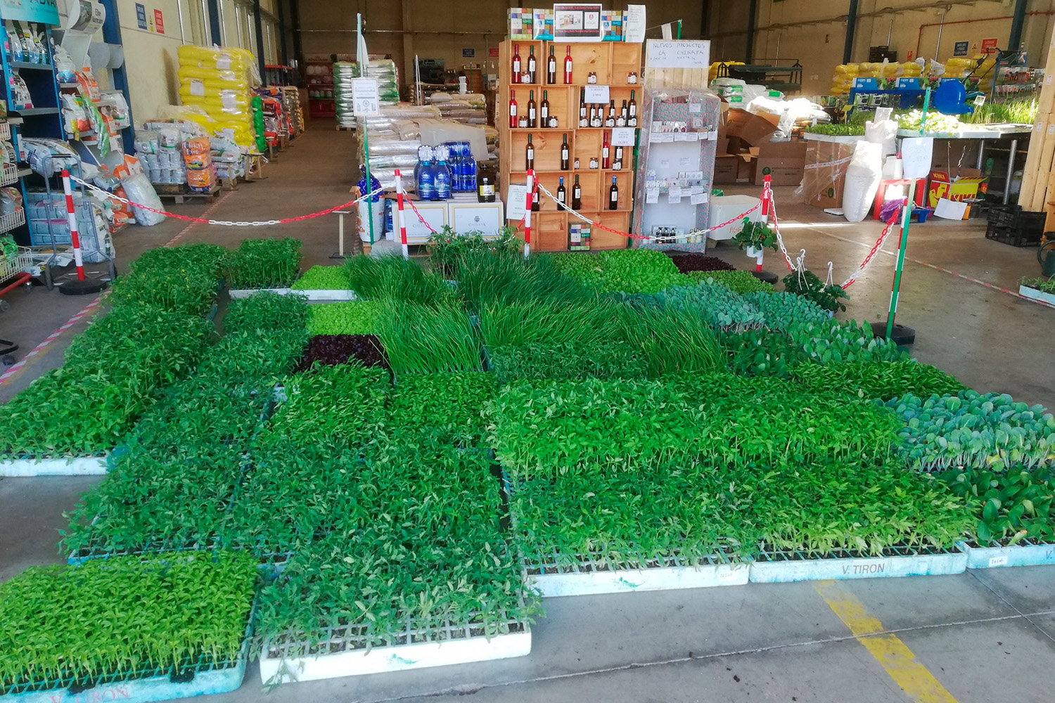 piensos-plantas-semillas-instalaciones-8